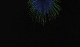 烟花动画在线观看,在线观赏烟花动画盛宴