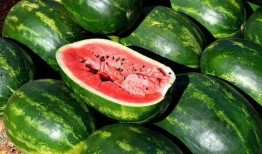 吃瓜网红照片高清图大全,高清图集大揭秘