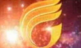 南方卫视今日一线爆料,南方卫视最新爆料内容大起底